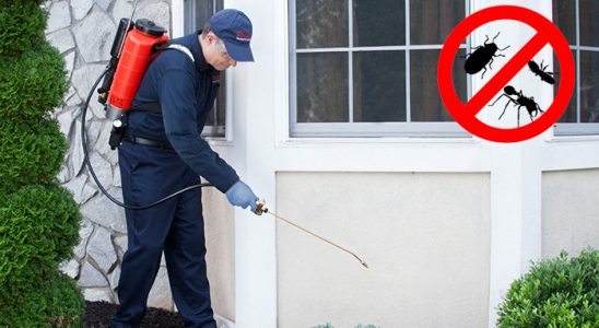 Baykan Kemirgen İlaçlama böcek ilaçlama ve haşere kontrolü — ilaclama-tr.com